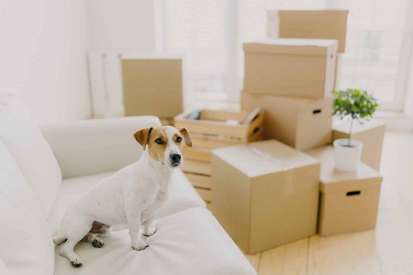 Quels critères pour sélectionner des talons confortables pour une journée de travail prolongée ?